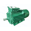 Y2-355-2 185KW 2980RPM 6000V Y2系列紧凑型铸铁外壳高压三相异步电机