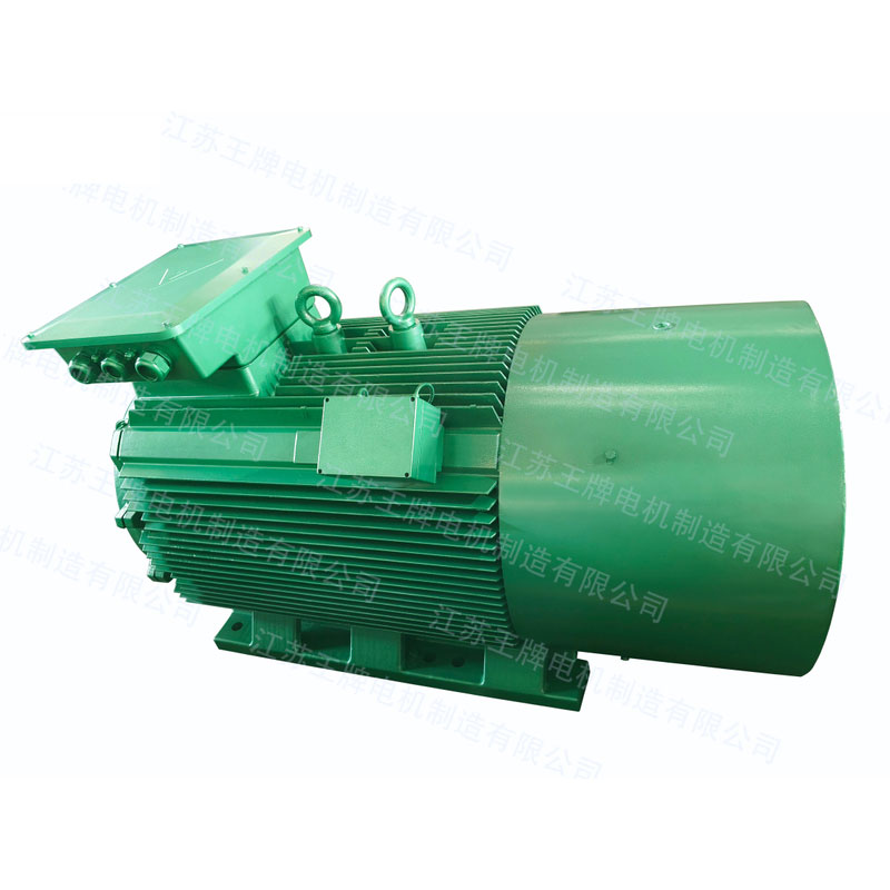 Y2-355-2 185KW 2980RPM 6000V Y2系列紧凑型铸铁外壳高压三相异步电机